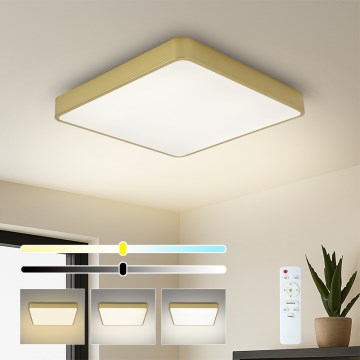 Brilagi - ściemnialna lampa sufitowa LED POOL SQUARE LED/36W/230V 3000-6000K 40x40 cm złota + pilot zdalnego sterowania