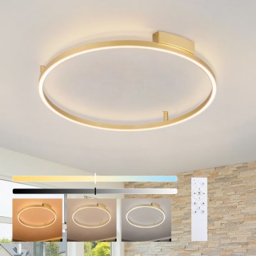 Brilagi - ściemnialna lampa sufitowa LED PORTOFINO LED/60W/230V 3000-6000K śr. 80 cm, złota + pilot