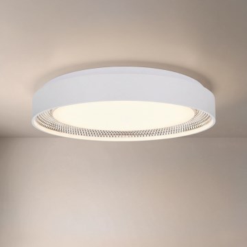 Brilagi - Ściemnialna lampa sufitowa WALDO LED/48W/230V 3000-6500K Ø 40 cm biała/srebrna + pilot zdalnego sterowania