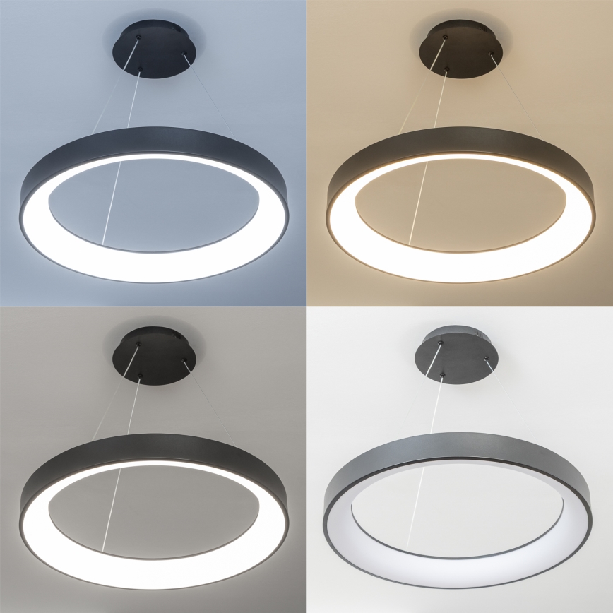 Brilagi - ściemnialna lampa wisząca LED na linkach FALCON II LED/99W/230V 3000-6500K śr. 60 cm czarna + pilot zdalnego sterowania