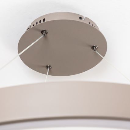 BRILAGI - LED ściemnialny żyrandol na lince FALCON II LED/108W/230V 3000-6500K śr. 80 cm beżowy + pilot zdalnego sterowania