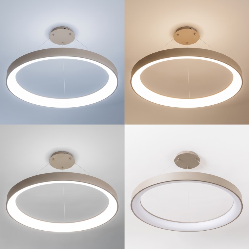 BRILAGI - LED ściemnialny żyrandol na lince FALCON II LED/108W/230V 3000-6500K śr. 80 cm beżowy + pilot zdalnego sterowania