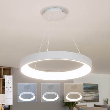 Brilagi - ściemnialna lampa wisząca na lince FALCON II LED/99W/230V 3000-6500K śr. 60 cm biała + pilot zdalnego sterowania
