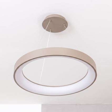 BRILAGI - LED ściemnialny żyrandol wiszący na linkach FALCON II LED/99W/230V 3000-6500K Ø 60 cm beżowy + zdalne sterowanie