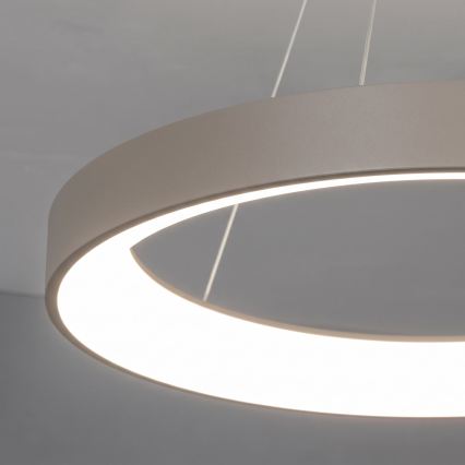 BRILAGI - LED ściemnialny żyrandol wiszący na linkach FALCON II LED/99W/230V 3000-6500K Ø 60 cm beżowy + zdalne sterowanie