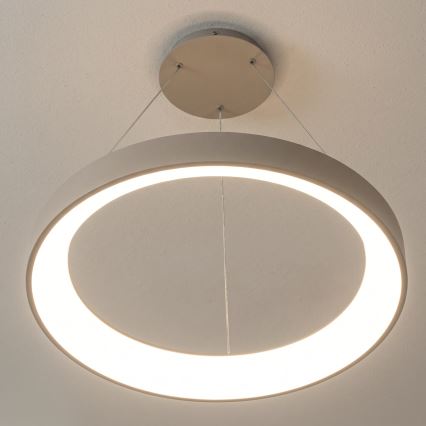 BRILAGI - LED ściemnialny żyrandol wiszący na linkach FALCON II LED/99W/230V 3000-6500K Ø 60 cm beżowy + zdalne sterowanie