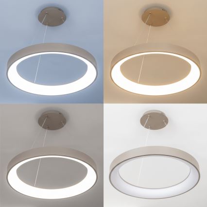 BRILAGI - LED ściemnialny żyrandol wiszący na linkach FALCON II LED/99W/230V 3000-6500K Ø 60 cm beżowy + zdalne sterowanie