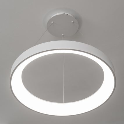 BRILAGI - ściemnialna lampa wisząca na lince FALCON II LED/99W/230V 3000-6500K śr. 60 cm biała + pilot zdalnego sterowania