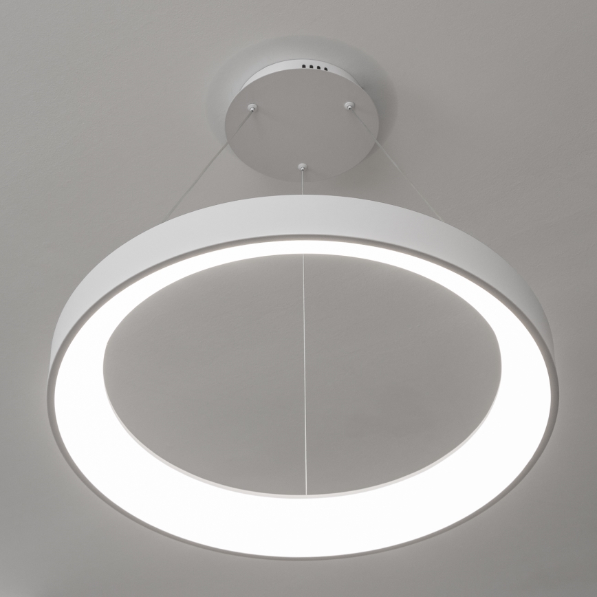 BRILAGI - ściemnialna lampa wisząca na lince FALCON II LED/99W/230V 3000-6500K śr. 60 cm biała + pilot zdalnego sterowania