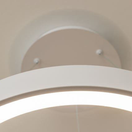 BRILAGI - ściemnialna lampa wisząca na lince FALCON II LED/99W/230V 3000-6500K śr. 60 cm biała + pilot zdalnego sterowania