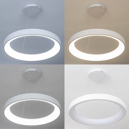 BRILAGI - ściemnialna lampa wisząca na lince FALCON II LED/99W/230V 3000-6500K śr. 60 cm biała + pilot zdalnego sterowania