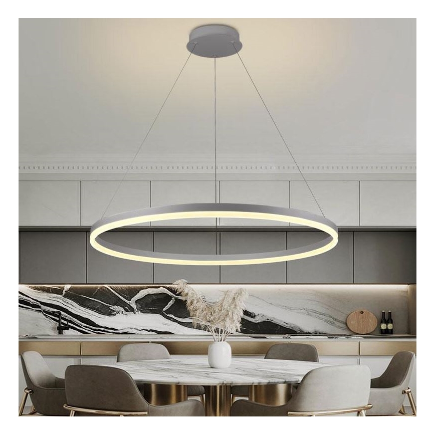 Brilagi - ściemnialna lampa wisząca na lince CIRCLE LED/55W/230V 3000-6500K śr. 80 cm srebrna + pilot zdalnego sterowania
