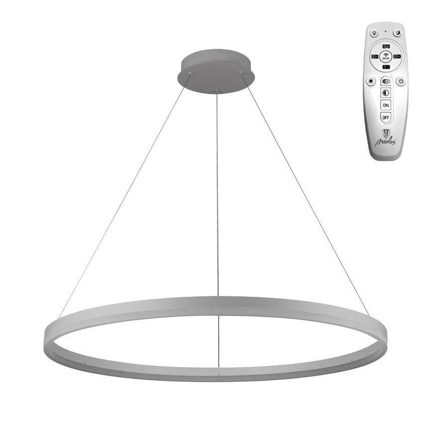 Brilagi - ściemnialna lampa wisząca na lince CIRCLE LED/55W/230V 3000-6500K śr. 80 cm srebrna + pilot zdalnego sterowania