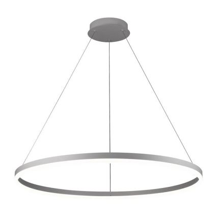 Brilagi - ściemnialna lampa wisząca na lince CIRCLE LED/55W/230V 3000-6500K śr. 80 cm srebrna + pilot zdalnego sterowania