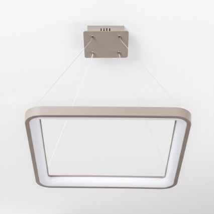 BRILAGI - LED ściemnialna lampa wisząca na linkach FALCON SLIM LED/50W/230V 3000-6500K 50x50 cm beżowa + zdalne sterowanie