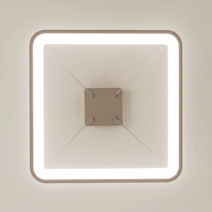 BRILAGI - LED ściemnialna lampa wisząca na linkach FALCON SLIM LED/50W/230V 3000-6500K 50x50 cm beżowa + zdalne sterowanie