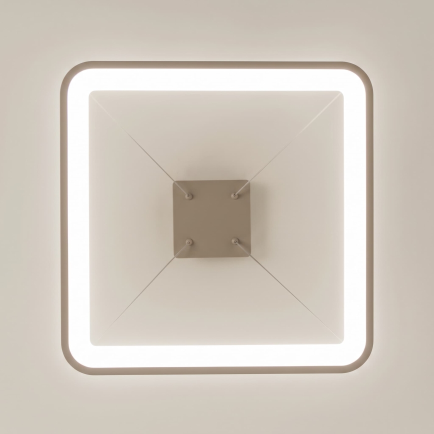 BRILAGI - LED ściemnialna lampa wisząca na linkach FALCON SLIM LED/50W/230V 3000-6500K 50x50 cm beżowa + zdalne sterowanie