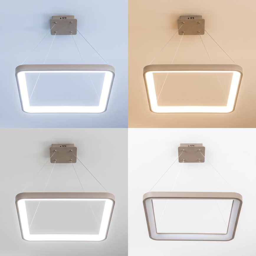 BRILAGI - LED ściemnialna lampa wisząca na linkach FALCON SLIM LED/50W/230V 3000-6500K 50x50 cm beżowa + zdalne sterowanie