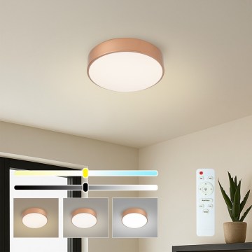 Brilagi - ściemnialna natynkowa oprawa sufitowa LED POOL, 24 W, 230 V, 3000–6000 K, Ø 20 cm, brązowa + pilot zdalnego sterowania