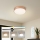 Brilagi - ściemnialna natynkowa oprawa sufitowa LED POOL, 24 W, 230 V, 3000–6000 K, Ø 20 cm, brązowa + pilot zdalnego sterowania