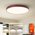 Brilagi - ściemnialna oprawa basenowa POOL SMART LED/100W/230V śr. 80 cm 3000-6000K Wi-Fi Tuya + pilot zdalnego sterowania, burgundowy