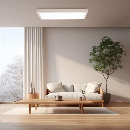 Brilagi - LED ściemnialna lampa sufitowa do łazienki FRAME SMART LED/30W/230V 30x60 cm 3000-6000K IP44 biała + pilot zdalnego sterowania