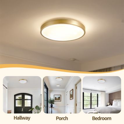 Brilagi - Ściemnialna oprawa sufitowa LED GLASS POOL DOUBLE LED/48W/230V 3000-6000K 40 cm złota + z pilotem zdalnego sterowania