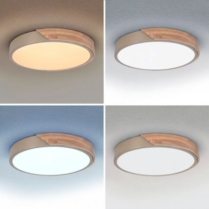 BRILAGI - ściemnialny plafon LED PILANA LED/48W/230V 3000-6500K dąb/beżowy śr. 40 cm + pilot zdalnego sterowania