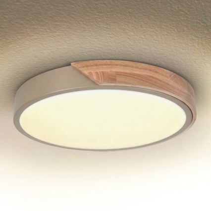 BRILAGI - ściemnialny plafon LED PILANA LED/48W/230V 3000-6500K dąb/beżowy śr. 40 cm + pilot zdalnego sterowania