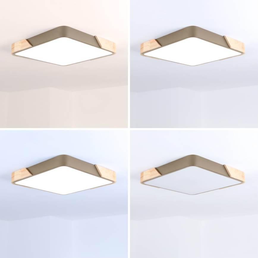 BRILAGI - LED Ściemnialna lampa sufitowa PILANA SQUARE LED/48W/230V 3000-6500K dąb/beżowa 42x42 cm + pilot zdalnego sterowania