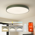 Brilagi - Ściemnialna oprawa LED POOL SMART LED/100W/230V śr. 80 cm 3000-6000K Wi-Fi Tuya + zdalne sterowanie zielona