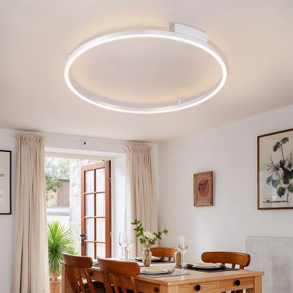 Brilagi - ściemnialna lampa sufitowa PORTOFINO LED/60W/230V 3000-6000K średnica 80 cm srebrna + pilot zdalnego sterowania