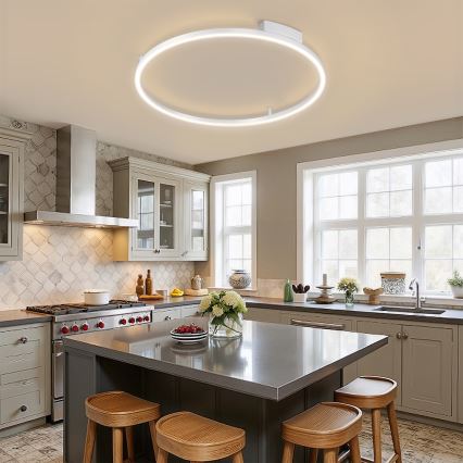 Brilagi - ściemnialna lampa sufitowa PORTOFINO LED/60W/230V 3000-6000K średnica 80 cm srebrna + pilot zdalnego sterowania