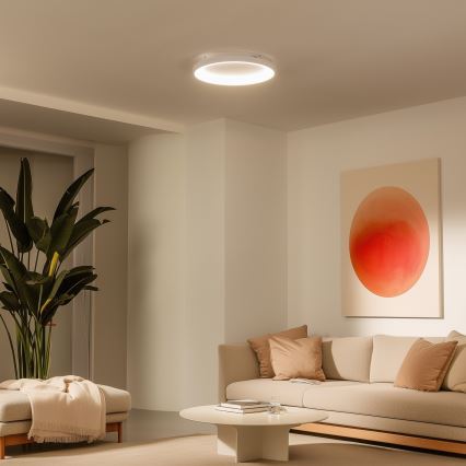 Brilagi - Ściemnialna lampa sufitowa LED FALCON SLIM LED/42W/230V 3000-6500K śr. 50 cm biała + zdalne sterowanie