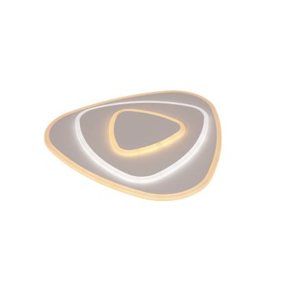 Brilagi - Ściemnialna lampa sufitowa MODERN LED/58W/230V 3000-6000K 47x48,5 cm + pilot zdalnego sterowania
