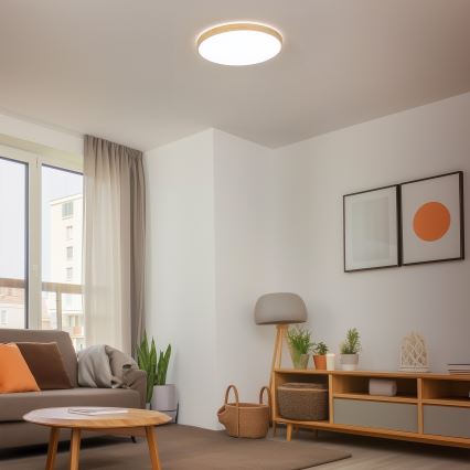 Brilagi - Lampa sufitowa LED ściemnialna PINE LED/60W/230V śr. 52 cm 3000-6500K + zdalne sterowanie