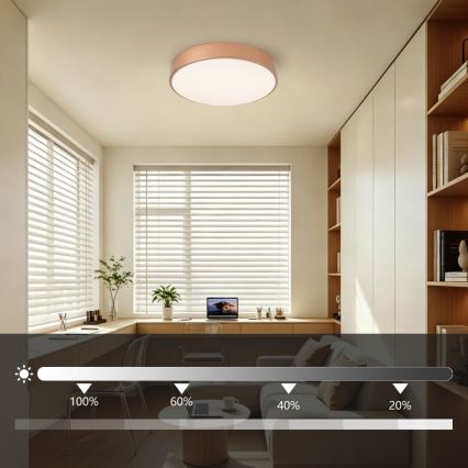 Brilagi - Ściemnialna oprawa sufitowa LED POOL LED/48W/230V 3000-6000K śr. 40 cm brązowa + pilot zdalnego sterowania