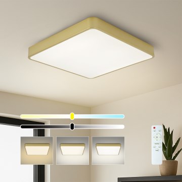 Brilagi - ściemnialna oprawa sufitowa LED POOL SQUARE LED/48W/230V 3000-6000K 50x50 cm złota + pilot zdalnego sterowania