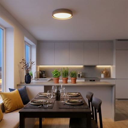 Brilagi - ściemnialny plafon LED LUCIA 48W/230V 3000-6500K śr. 41 cm taupe + pilot zdalnego sterowania