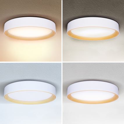 Brilagi - LED Plafon ściemnialny LARIOS LED/60W/230V 3000-6500K ø 49 cm biały + pilot zdalnego sterowania