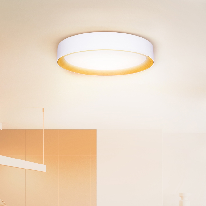 Brilagi - LED Plafon ściemnialny LARIOS LED/60W/230V 3000-6500K ø 49 cm biały + pilot zdalnego sterowania