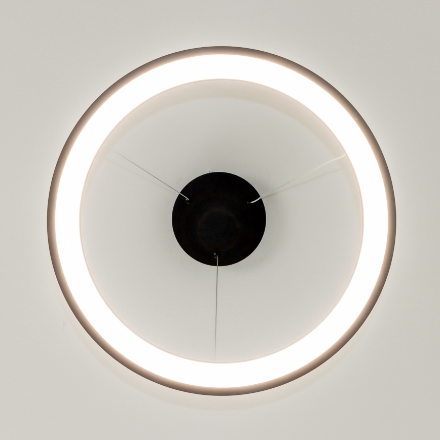 Brilagi - LED ściemnialny żyrandol na linkach FALCON SLIM LED/42W/230V 3000-6500K śr. 50 cm czarny + zdalne sterowanie