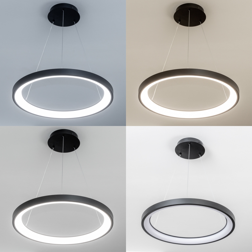 Brilagi - LED ściemnialny żyrandol na linkach FALCON SLIM LED/42W/230V 3000-6500K śr. 50 cm czarny + zdalne sterowanie