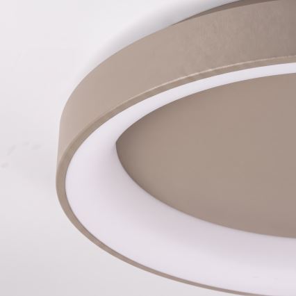 BRILAGI - LED ściemnialna lampa sufitowa FALCON II LED/99W/230V 3000-6500K śr. 60 cm beżowa + pilot zdalnego sterowania