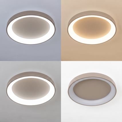 BRILAGI - LED ściemnialna lampa sufitowa FALCON II LED/99W/230V 3000-6500K śr. 60 cm beżowa + pilot zdalnego sterowania