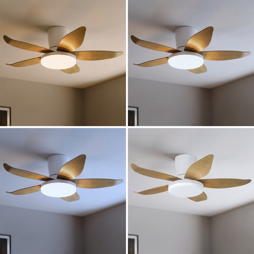 Brilagi - Ściemnialny wentylator sufitowy LED, 32W, 230V, 3000–6500K, śr. 95 cm, biały/brązowy + pilot zdalnego sterowania