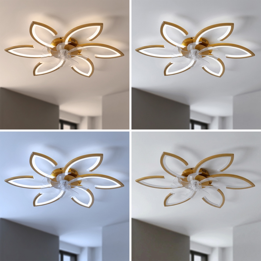 Brilagi - Ściemnialny wentylator sufitowy LED/34W/230V, średnica 78 cm, kolor złoty + pilot zdalnego sterowania