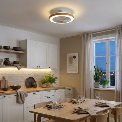 Brilagi - LED ściemnialny wentylator sufitowy LED/38W/230V 3000-6500K śr. 50 cm biały/brązowy + pilot