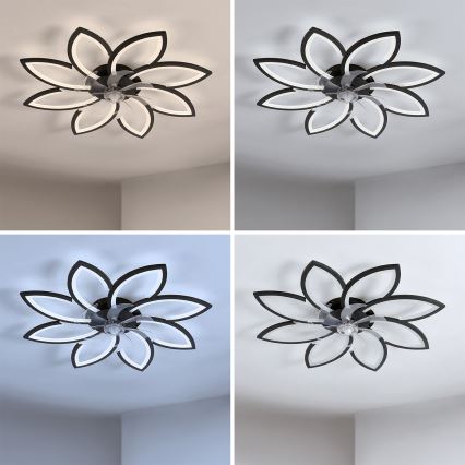 Brilagi - LED ściemnialny wentylator sufitowy LED/43W/230V 3000-6500K śr. 90 cm czarny + pilot zdalnego sterowania