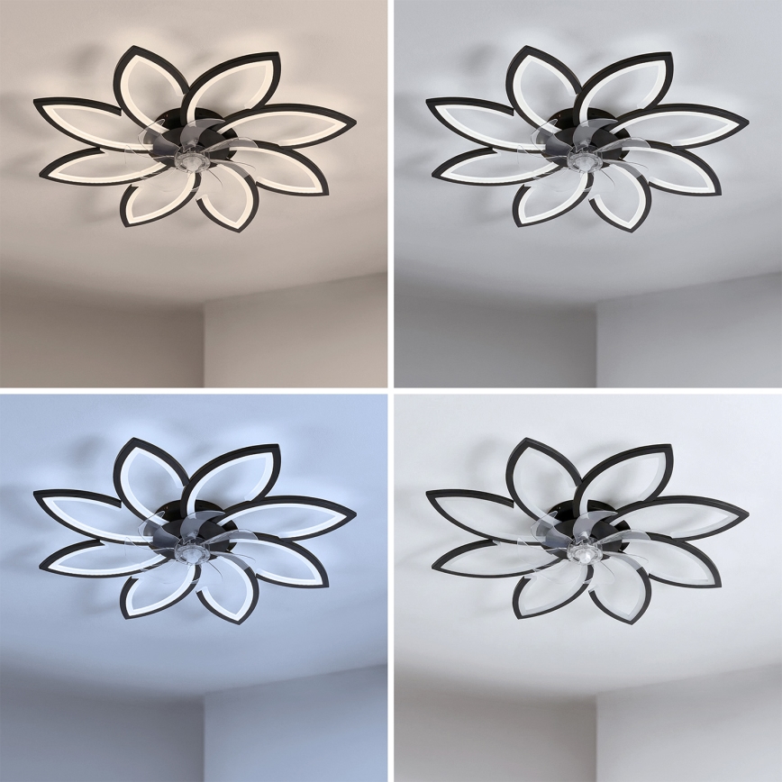 Brilagi - LED ściemnialny wentylator sufitowy LED/43W/230V 3000-6500K śr. 90 cm czarny + pilot zdalnego sterowania